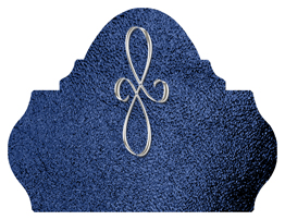 DARAY L 601 SL SH BL Silver Scroll Shimmer Blue Background